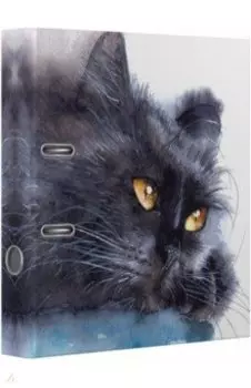 Папка с арочным механизмом Black Cat, A4, 75 мм