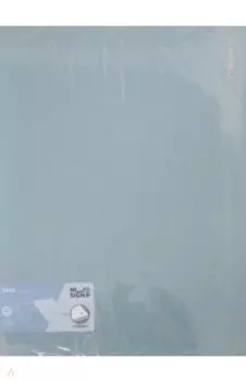 Папка с файлами Nusign, A4, 40 файлов, в ассортименте