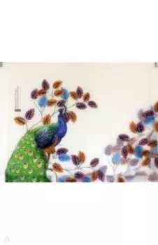 Папка с пластиковой застежкой Павлин, А4+