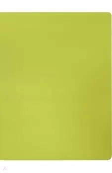 Папка с пружинным скоросшивателем А4 "Neon" желтая (DNE07PYEL)
