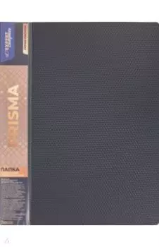 Папка с пружинным скоросшивателем Premier. Prisma, A4, серая