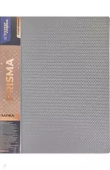 Папка с пружинным скоросшивателем Premier. Prisma, A4, серебряная