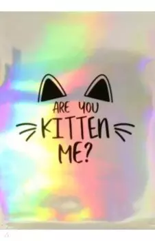 Папка-уголок Веселый кот