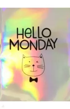 Папка Веселый кот, 4 отделения, А4