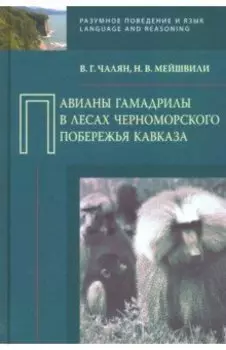 Павианы гамадрилы в лесах Черноморского побережья Кавказа