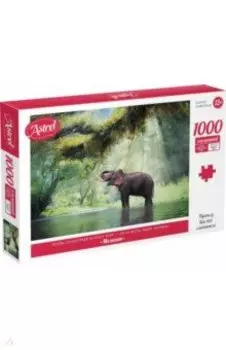 Пазл-1000 Момент