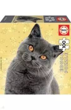 Пазл-100 Кошка Британская