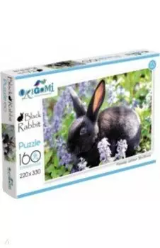 Пазл-160. На свободе