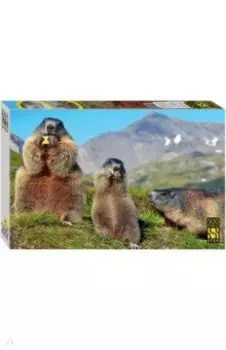 Пазл-500 Альпийские сурки