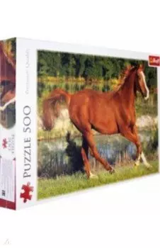 Пазл-500 "Красота галопа" (37184)