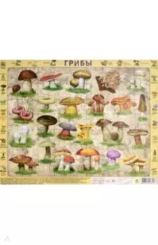 Пазл-63 "Грибы"