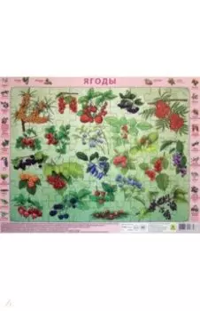 Пазл-63 Ягоды