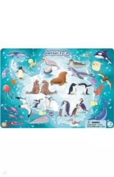 Пазл Антарктида, в рамке. 53 элемента