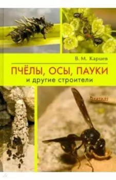 Пчёлы, осы, пауки и другие строители