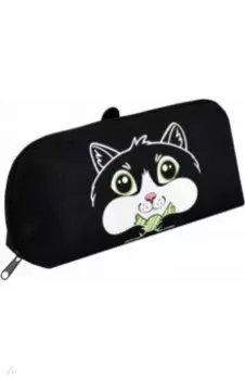 Пенал школьный Кот