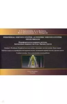 Периферическая нервная система. Автономная нервная система. Органы чувств. Рабочая тетрадь