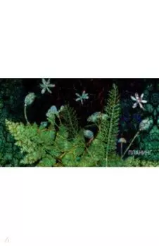 Планинг карманный недатированный Тайны леса, 64 листа