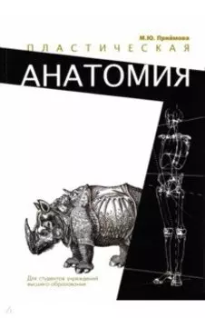 Пластическая анатомия