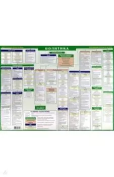 Политика. Готовимся к экзаменам