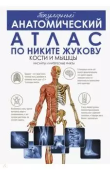 Популярный анатомический атлас по Никите Жукову. Кости и мышцы. Инсайты и интересные факты