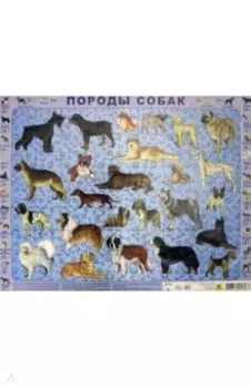 Породы собак. Детский пазл на подложке, 63 элемента