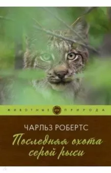 Последняя охота серой рыси