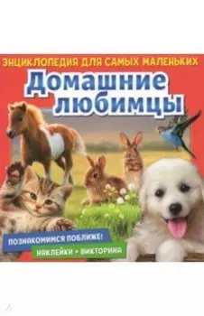 Познакомимся поближе! Домашние любимцы