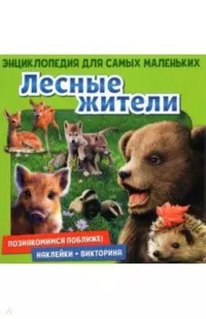 Познакомимся поближе! Лесные жители