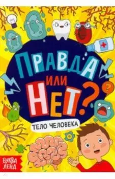Правда или нет? Тело человека