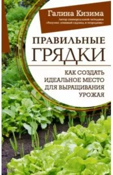 Правильные грядки. Как создать идеальное место для выращивания урожая