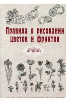 Правила о рисовании цветов и фруктов