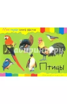Птицы