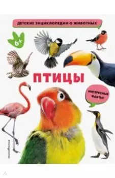 Птицы