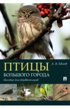 Птицы большого города. Пособие для бёрдвотчеров