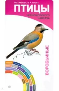 Птицы Черноморского Кавказа. Воробьиные и неворобьиные. Веер-определитель