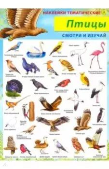 Птицы. Наклейки тематические