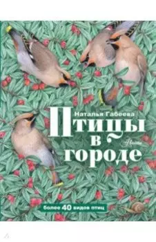 Птицы в городе