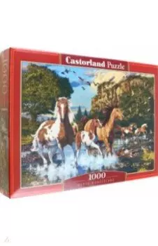 Puzzle-1000. Бегущие по воде