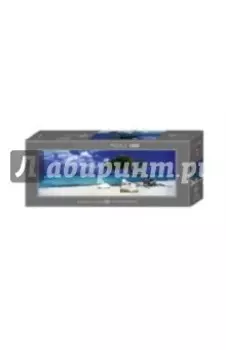 Puzzle-1000 "Пляж, A. von Humboldt"