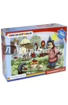 Puzzle-300 Разные колеса (№30098)