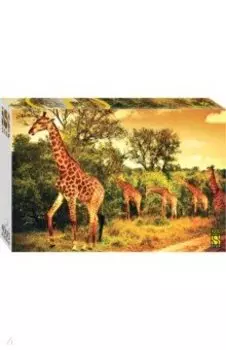 Puzzle-4000 Южноафриканские жирафы