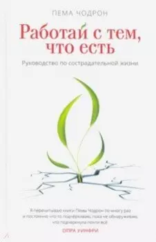 Работай с тем, что есть. Руководство по сострадательной жизни