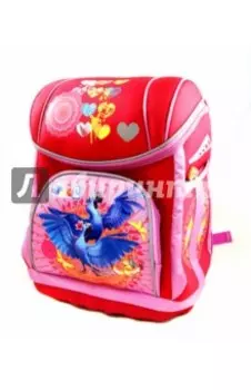 Ранец школьный RIO (830721)