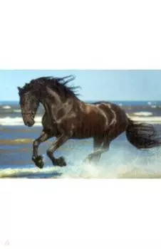 Раскрашивание по номерам. Лошадь