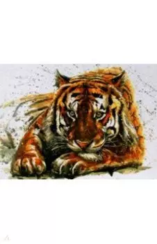 Раскрашивание по номерам. Мощь спокойствия