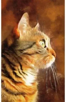 Раскрашивание по номерам Панно Гордый профиль