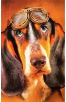 Раскрашивание по номерам Панно Грустный взгляд