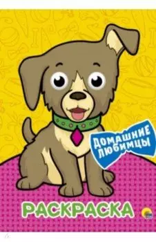 Раскраска А4. Домашние любимцы