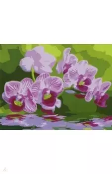 Раскраска по номерам Розовые цветы