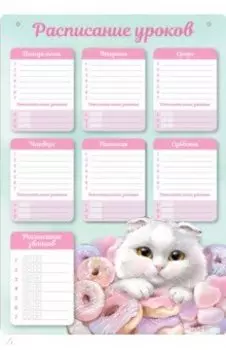 Расписание уроков Кот с пончиком, А3